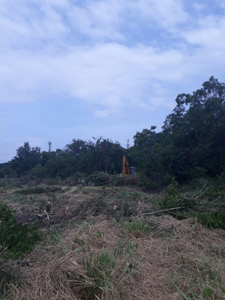 Denúncia do Linha Verde leva polícia ambiental a localizar área de 77 mil metros quadrados desmatada em Santa Cruz, na Zona Oeste