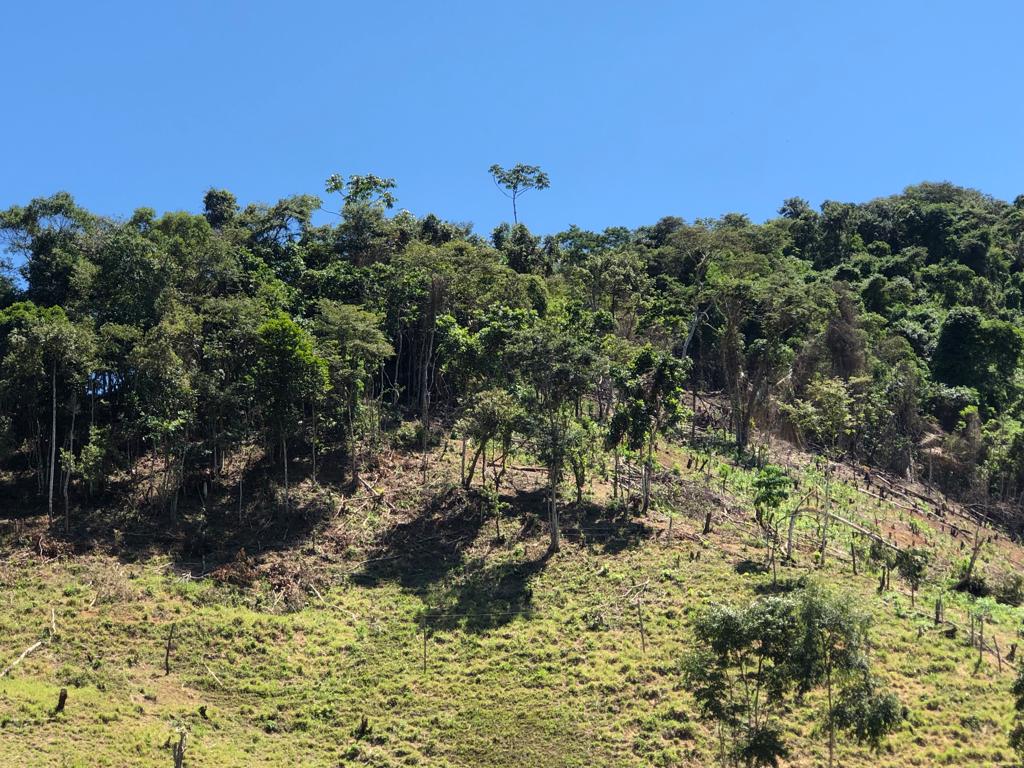 Denúncia de queimada e desmatamento feita ao Linha Verde leva polícia ambiental a área degradada de 10 mil dentro de Unidade de Conservação