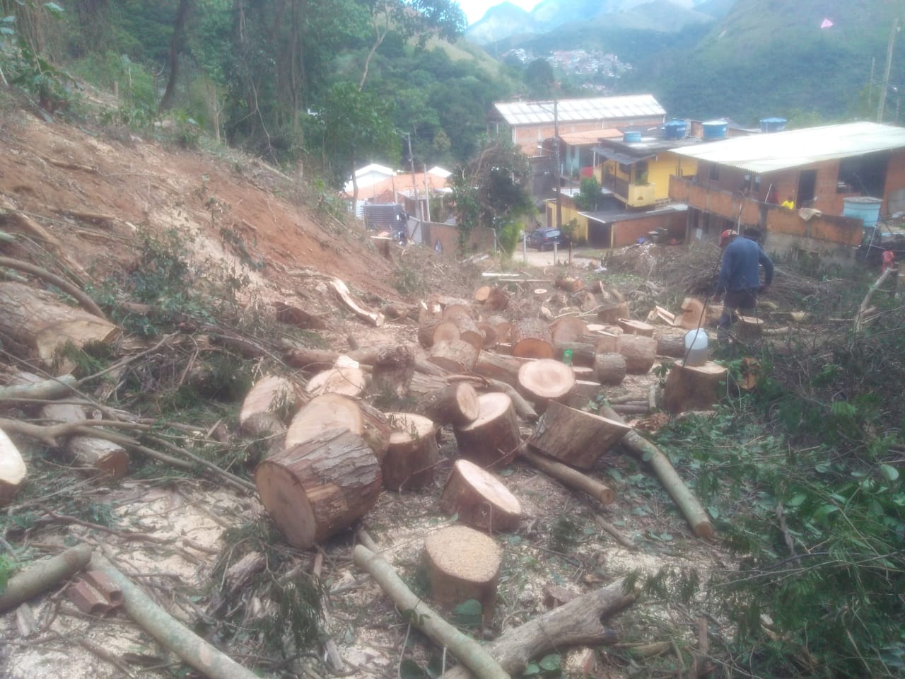 Polícia flagra desmatamento no Loteamento Samambaia, em Petrópolis, após denúncia do Linha Verde