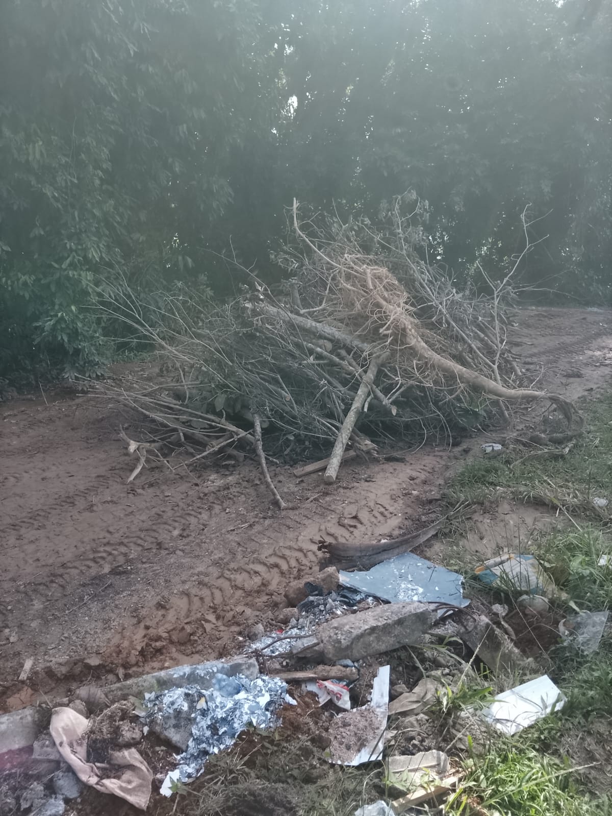 Polícia Ambiental encontra vestígios de movimentação do solo e desmatamento em Angra dos Reis