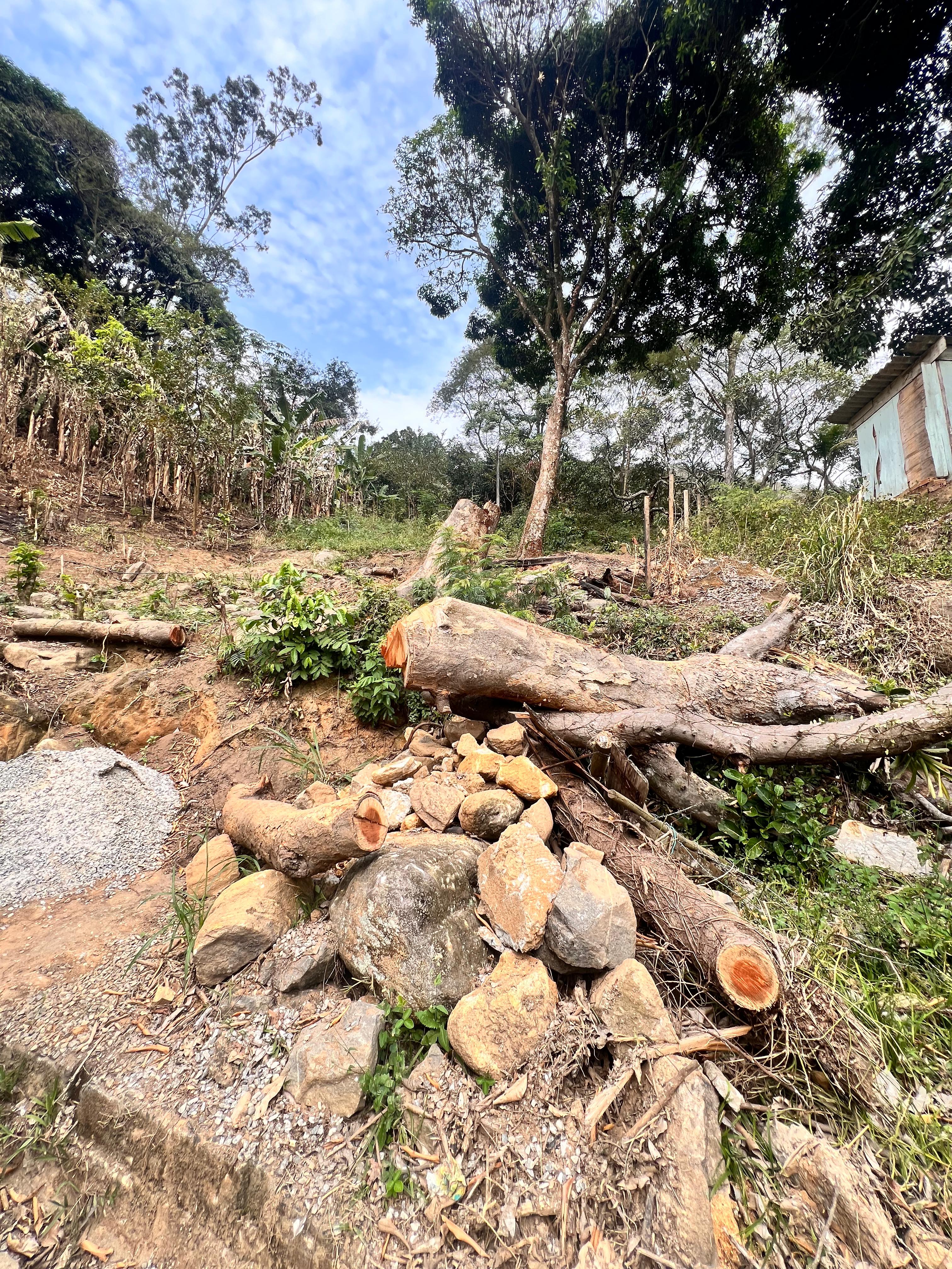 4ª UPAm encontra indícios de queimada e desmatamento em Mangaratiba após denúncia