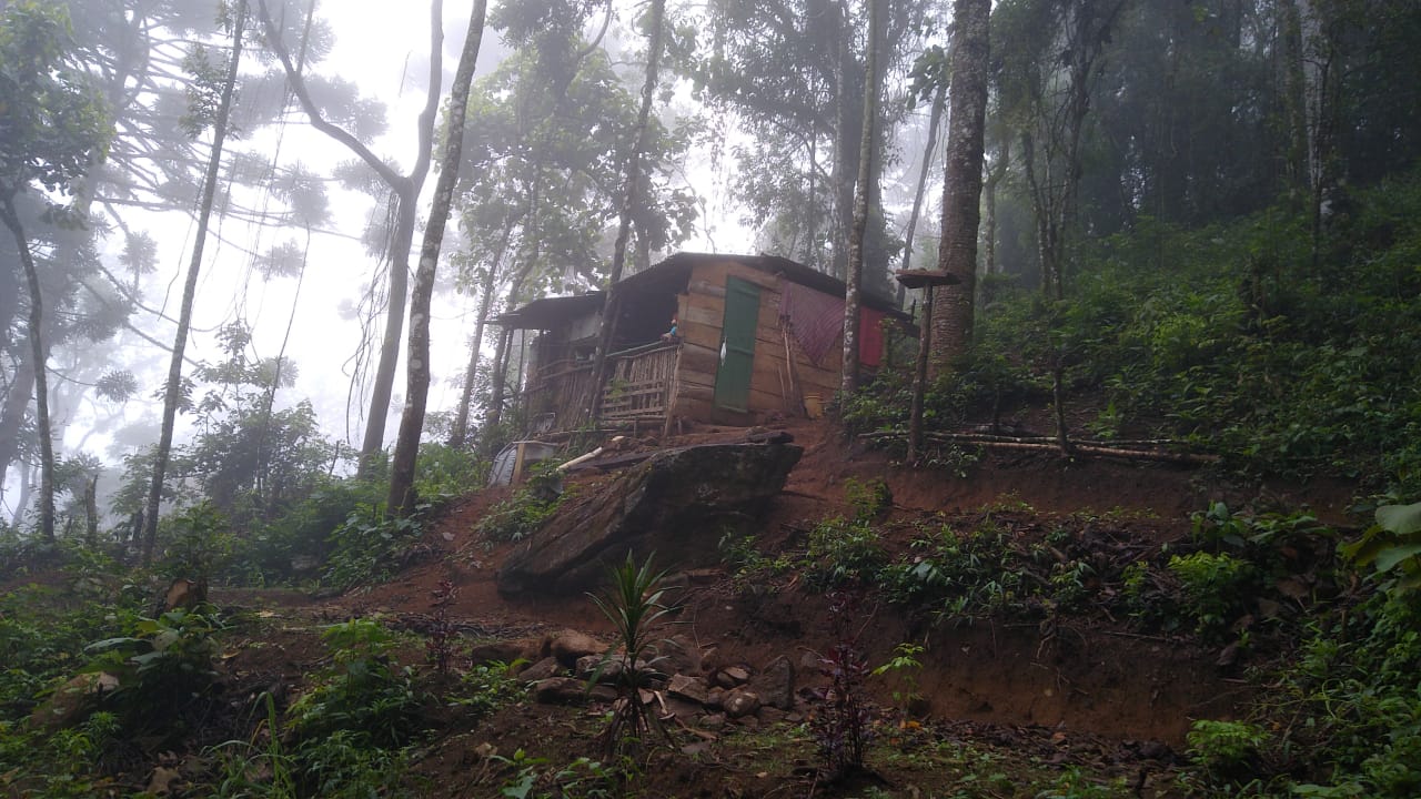 Polícia constata construção irregular e desmatamento dentro de unidade de conservação em Itatiaia