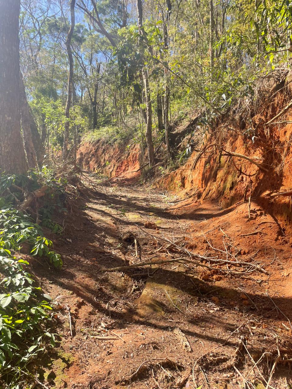 UPAm Três Picos flagra construção irregular e desmatamento na Posse, em Petrópolis 