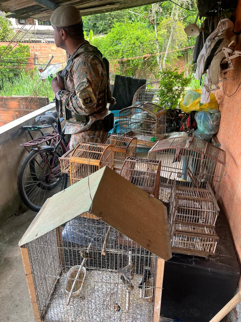 UPAm Pedra Branca resgata 13 pássaros mantidos em cativeiro irregularmente em Campo Grande, após denúncia ao Linha Verde