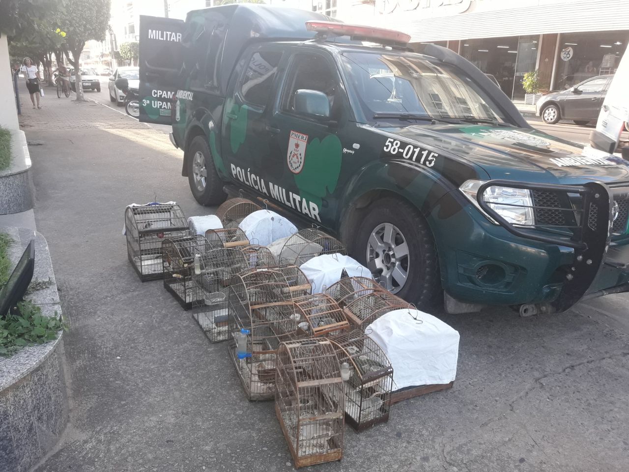 Denúncia leva polícia a resgatar vinte aves da fauna silvestre de cativeiro no Noroeste Fluminense