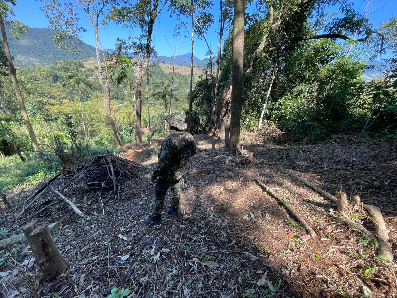 Crimes ambientais são identificados dentro de área de preservação em Paraty após denúncia encaminhada pelo programa Linha Verde