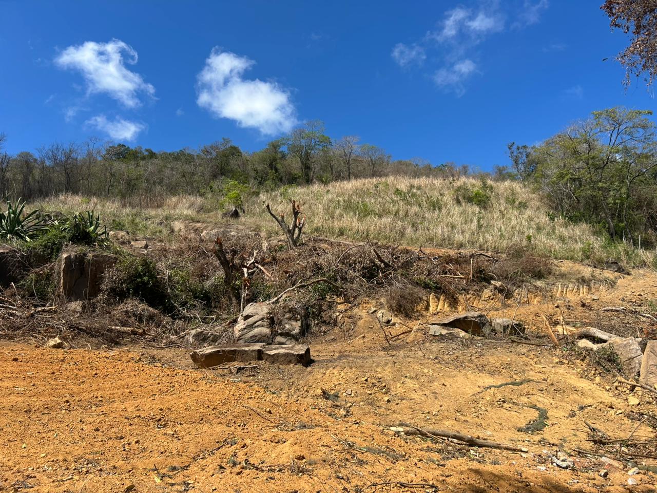 Polícia Ambiental identifica extração mineral, parcelamento do solo e desmatamento em Guaratiba, após denúncia 