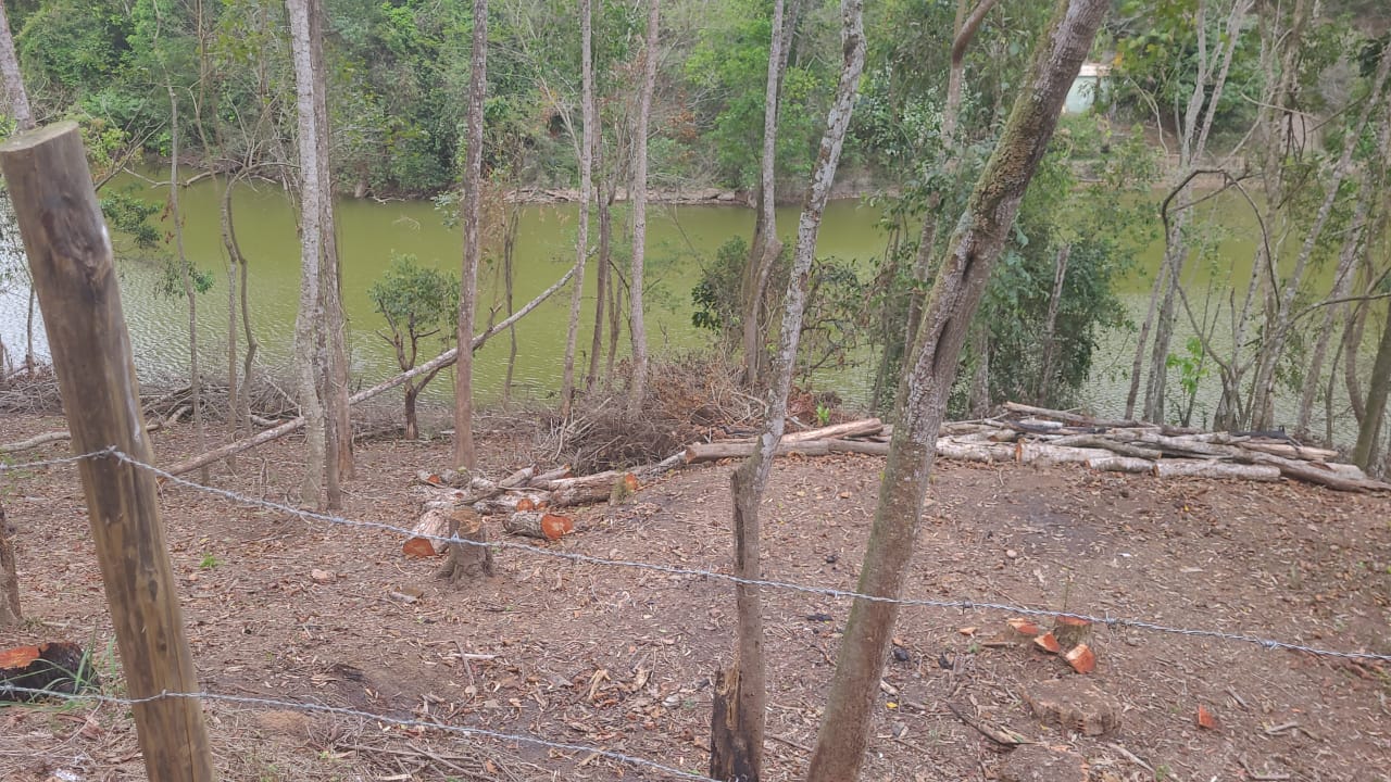 Polícia Ambiental identifica desmatamento em bairro de Piraí com auxílio de denúncias ao Linha Verde 