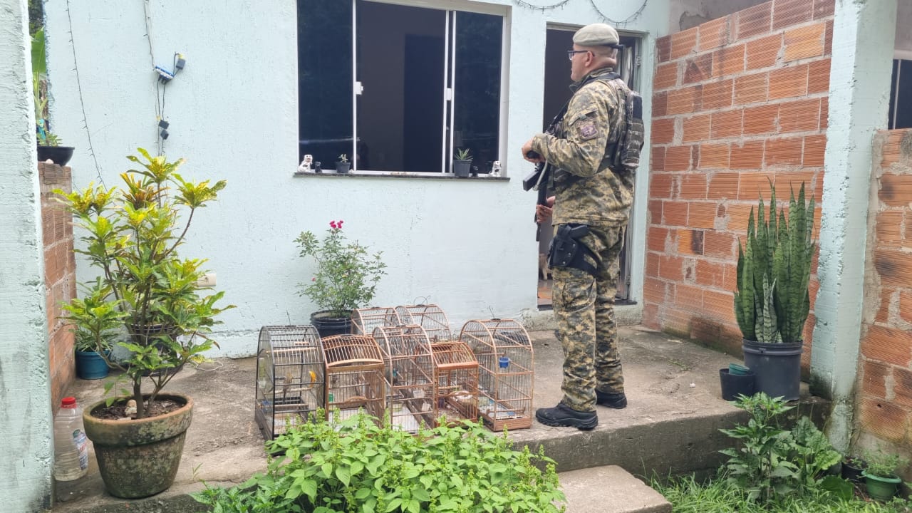 Sete pássaros silvestres mantidos em cativeiro são resgatados em Magé, após denúncia