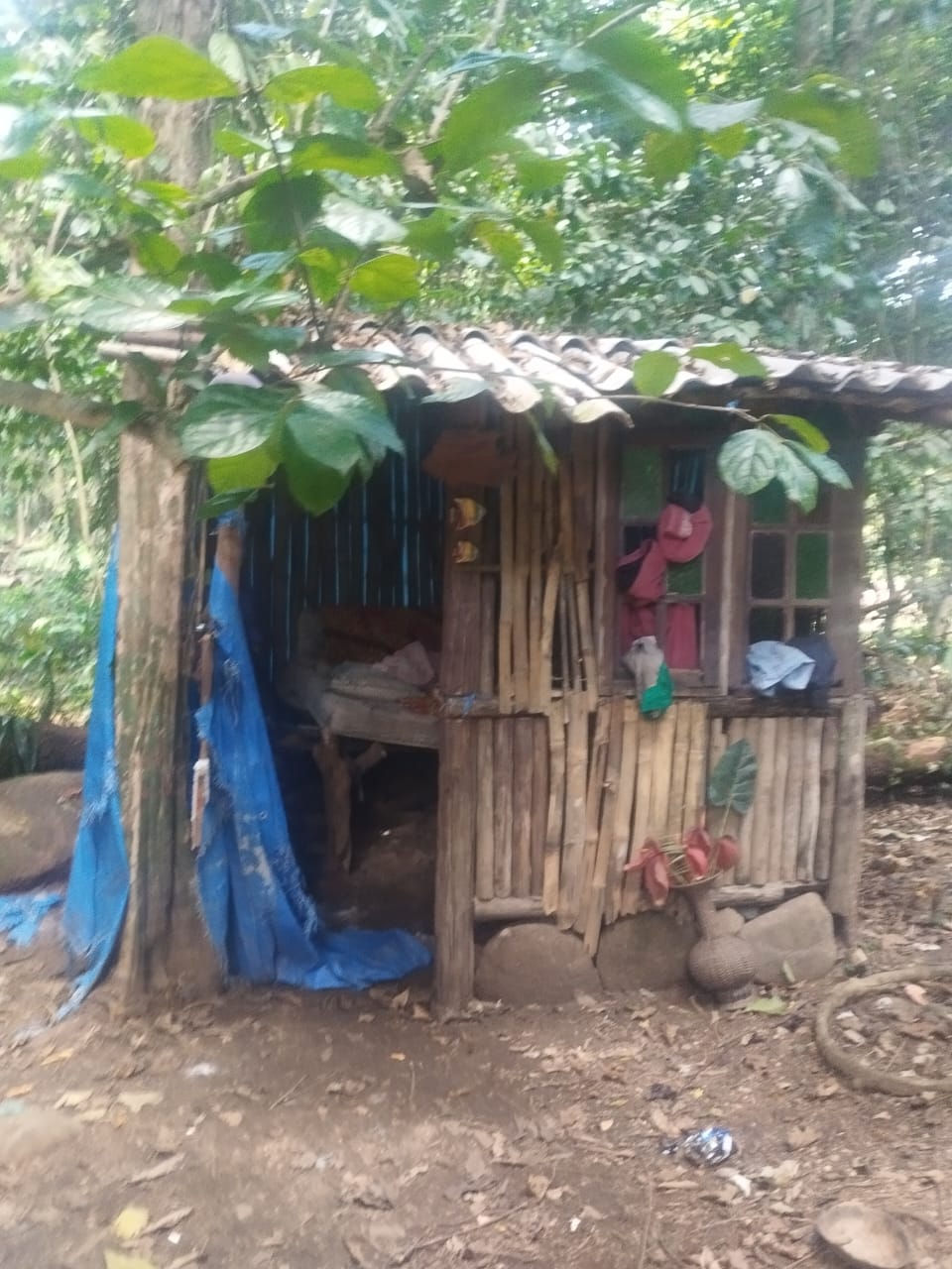 UPAm Juatinga identifica construção irregular em Paraty