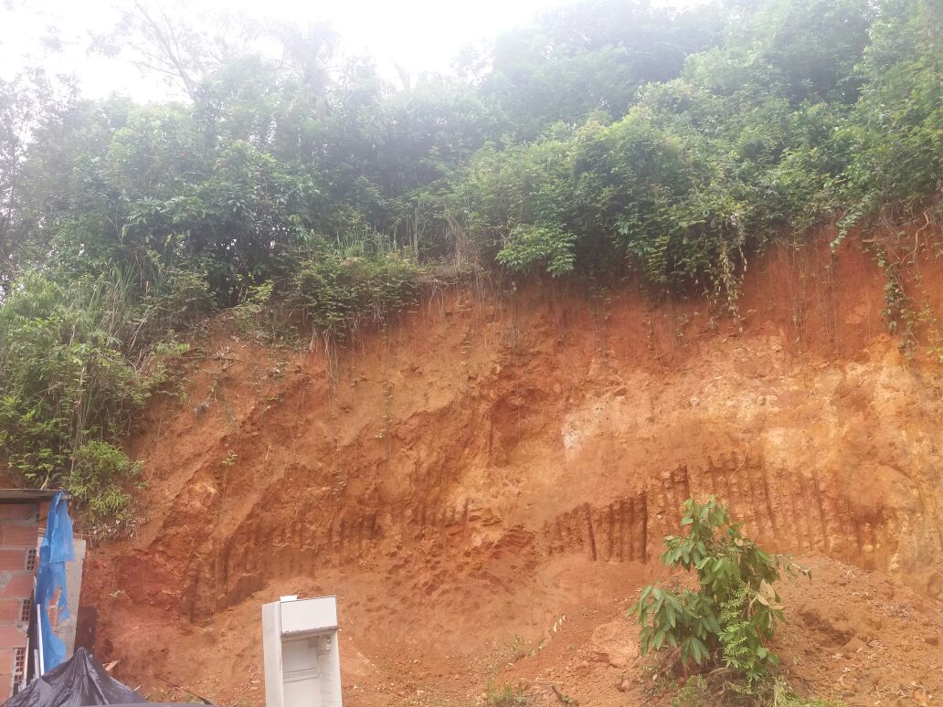 Após denúncia, UPAm Três Picos encontra área de 300 metros quadrados desmatada em Magé
