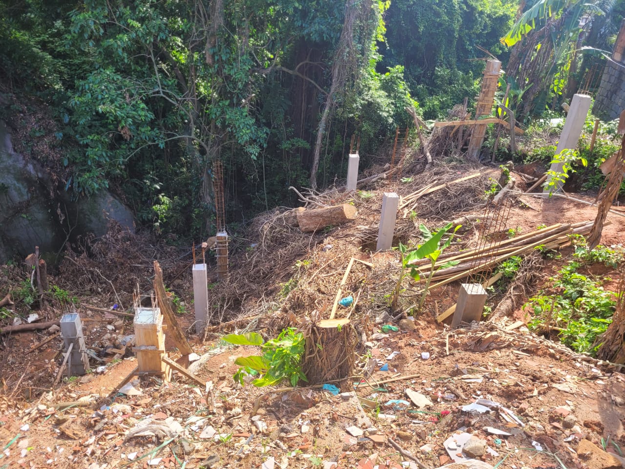 Após denúncia, polícia encontra árvores cortadas sem autorização em obra que vinha sendo realizada em Mangaratiba 