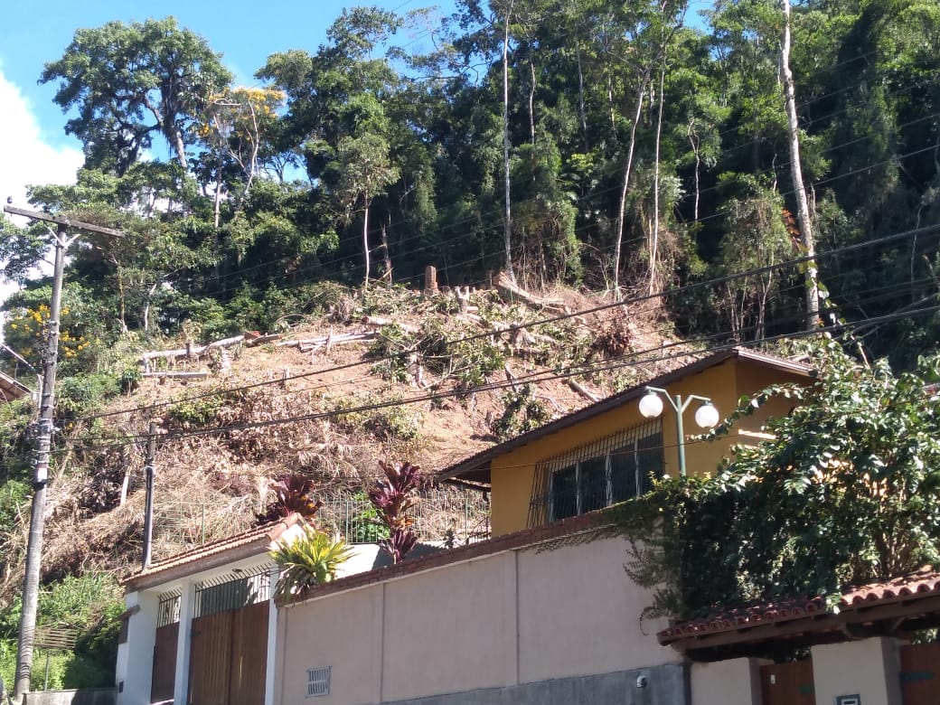 Denúncia leva polícia a identificar desmatamento em área de proteção ambiental em Teresópolis