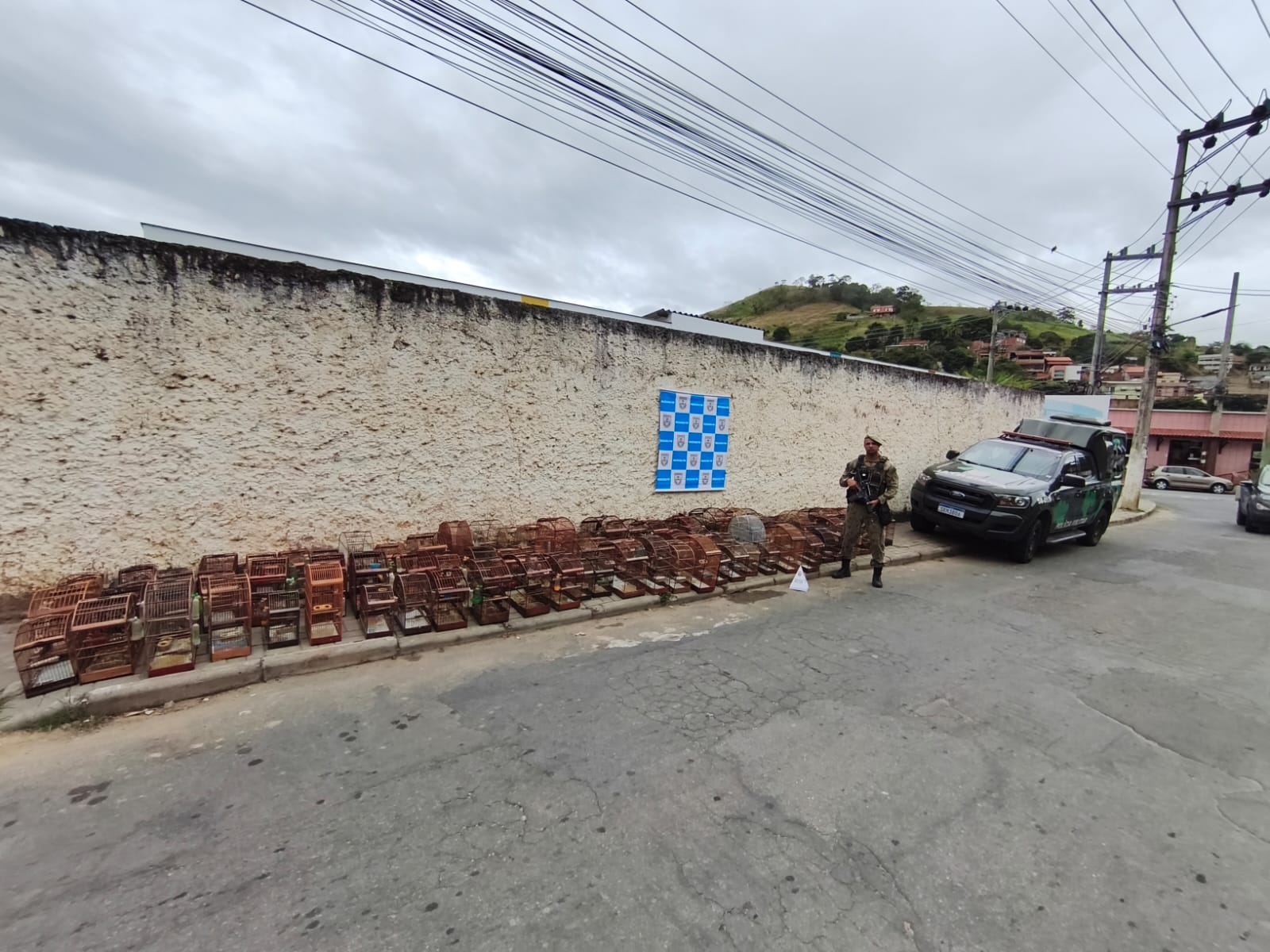 Informação do programa Linha Verde ajuda polícia na apreensão de 76 pássaros silvestres mantidos em cativeiro em Paraíba do Sul