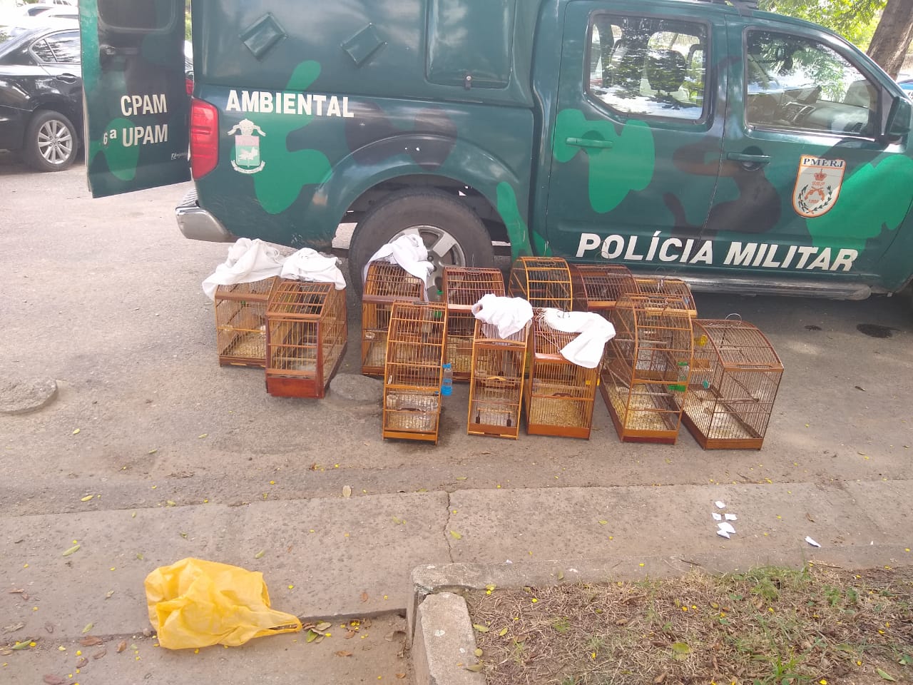 Polícia resgata pássaros silvestres de cativeiro em São Gonçalo