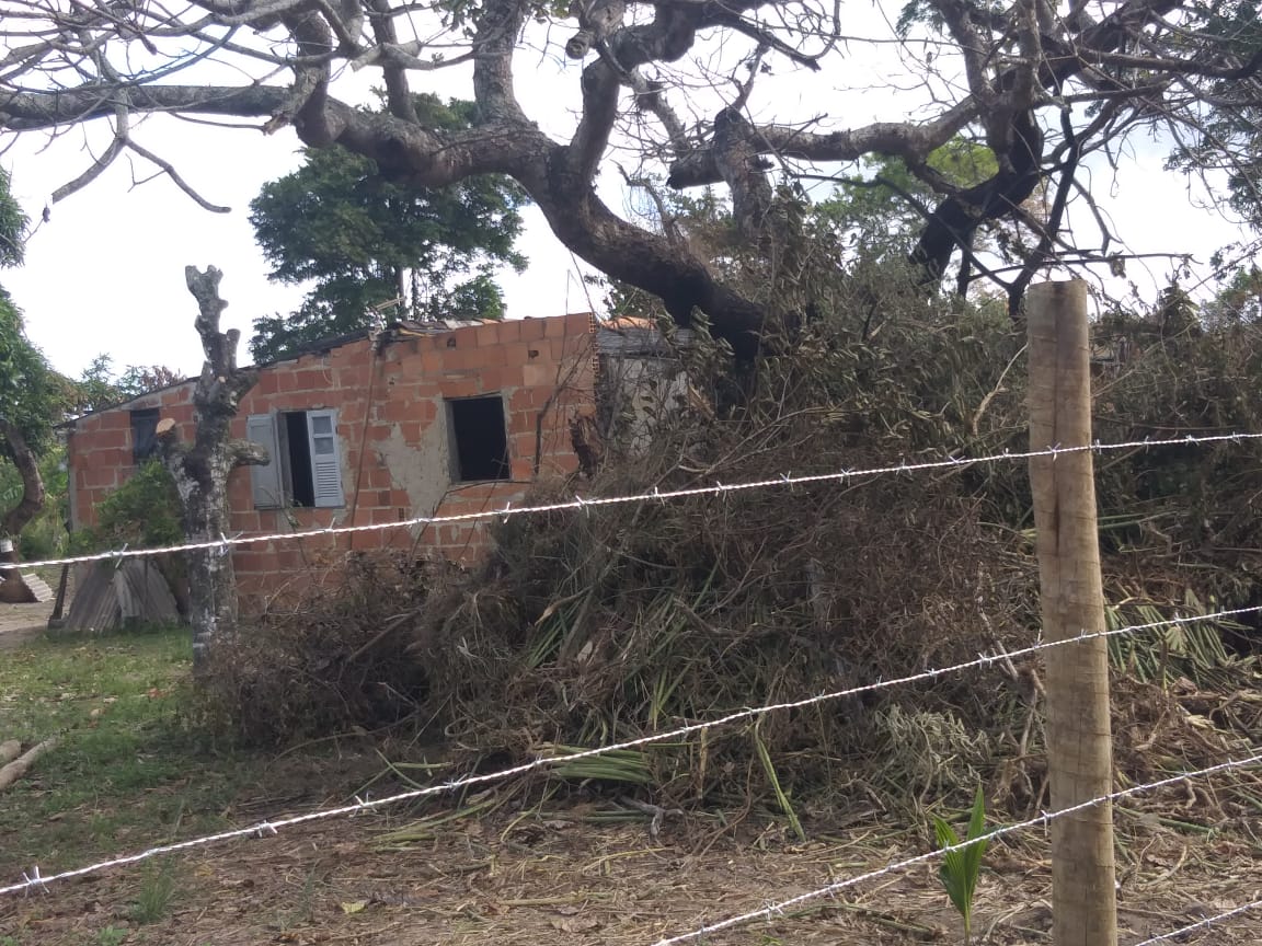 Denúncia leva polícia a encontrar 500 metros quadrados desmatado em São Pedro da Aldeia