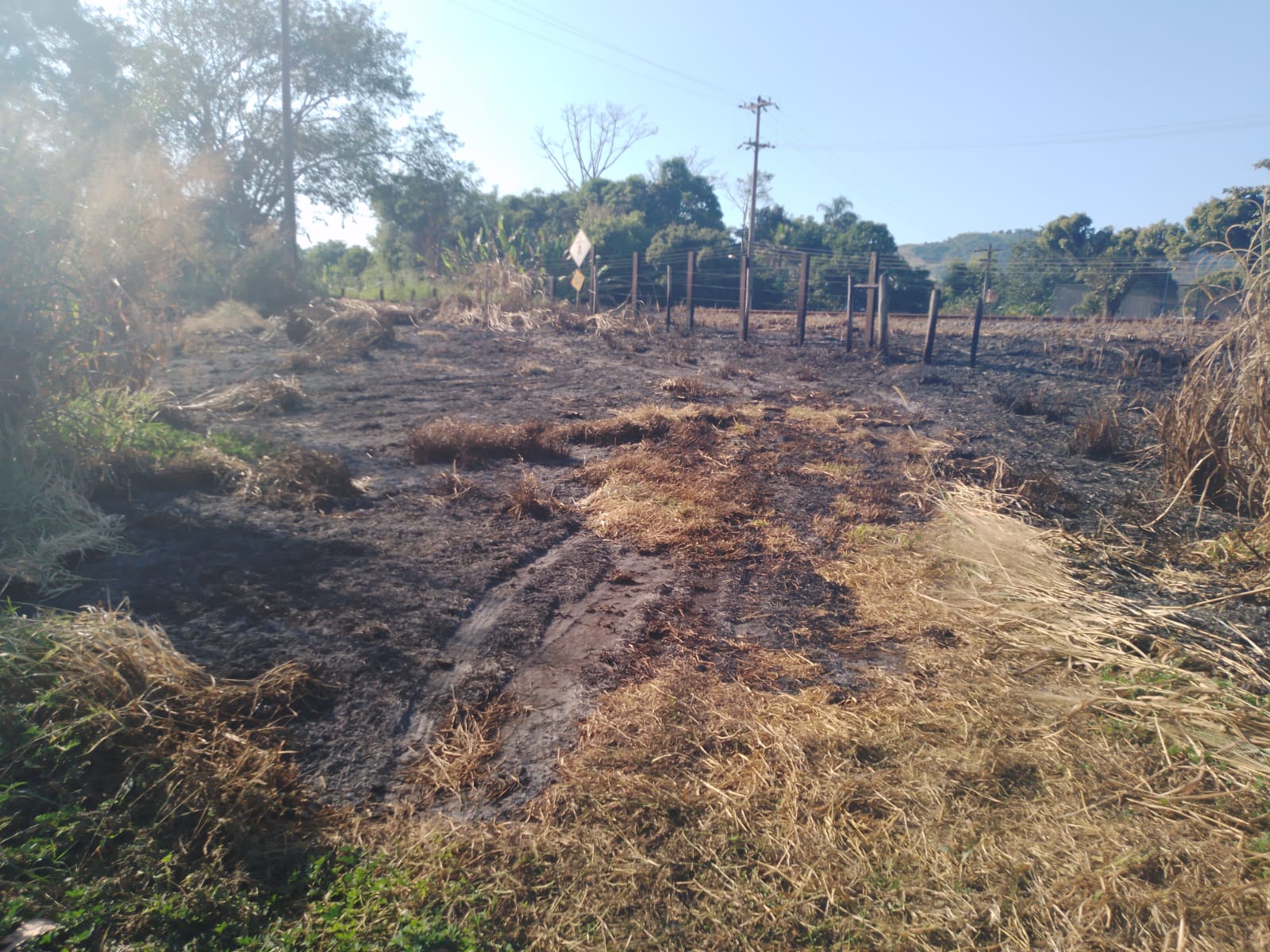 Terreno com indícios de queimada é identificado pela polícia após denúncia 