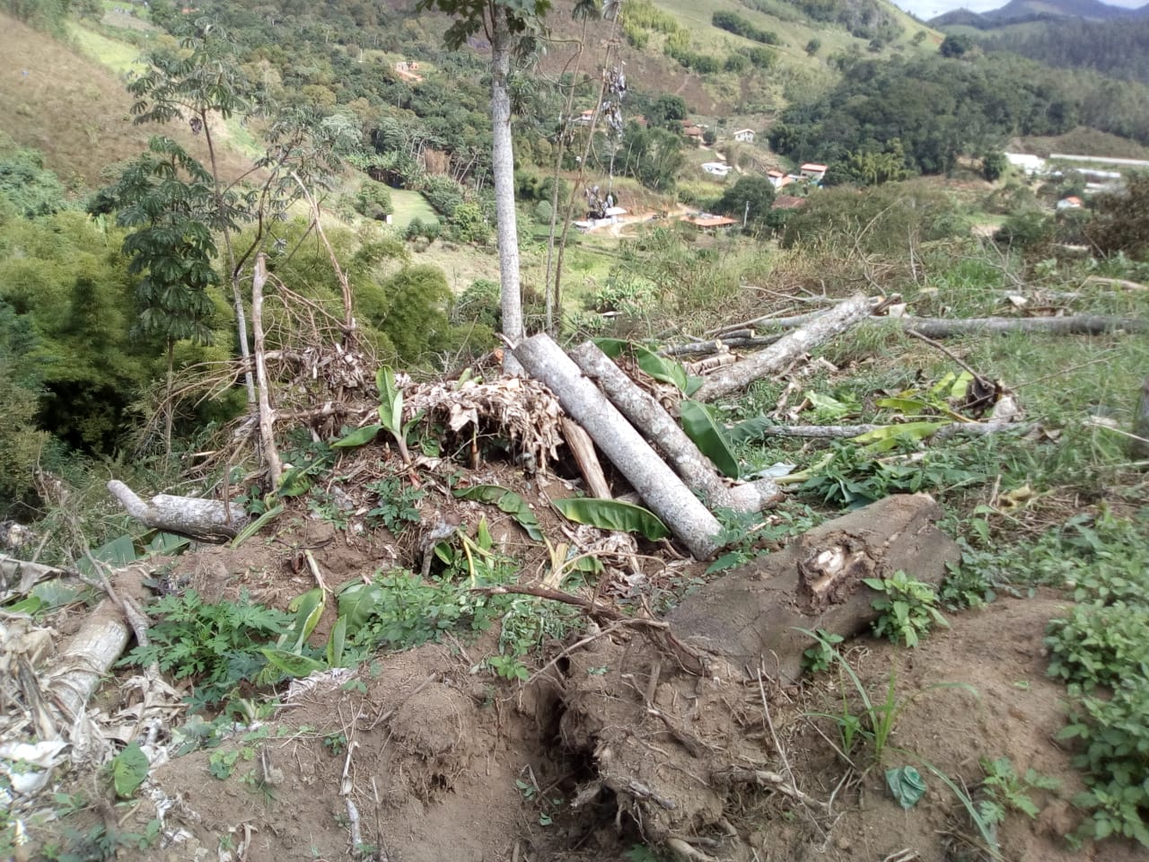Polícia ambiental encontra área de 3 mil metros quadrados desmatada em Bom Jardim