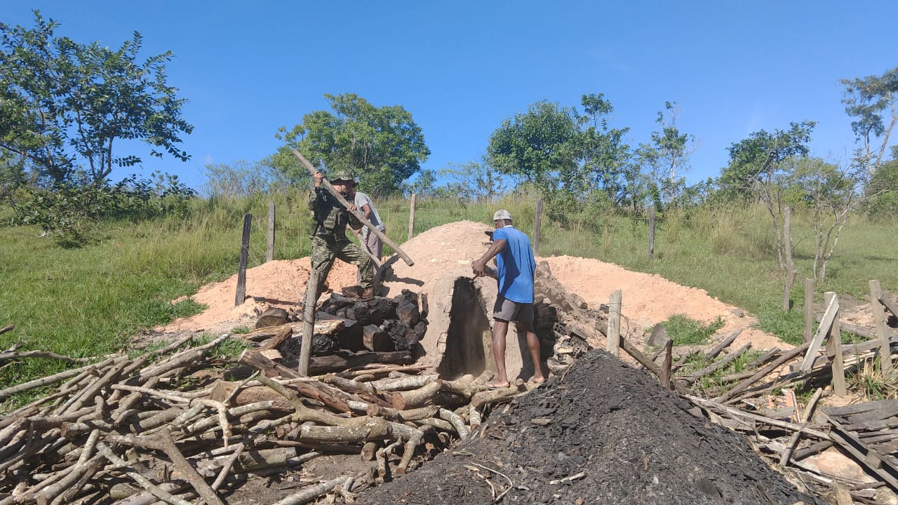 Polícia destrói fornos utilizados por carvoaria clandestina em Araruama após informações do Linha Verde