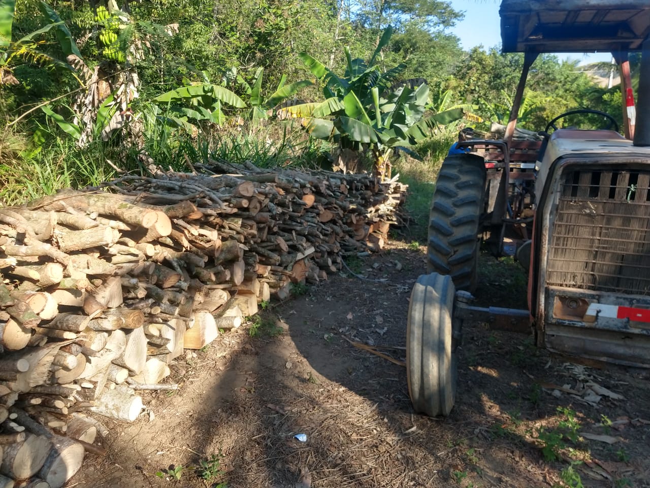 6ª UPAm identifica crimes contra a flora em Saquarema após denúncia do Linha Verde