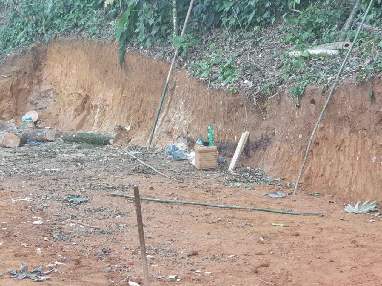 Dois homens são flagrados cometendo desmatamento em Duque de Caxias