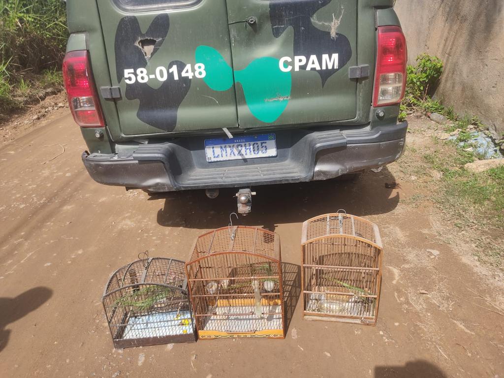 Ambiental resgata pássaros silvestres de cativeiro em Nova Iguaçu