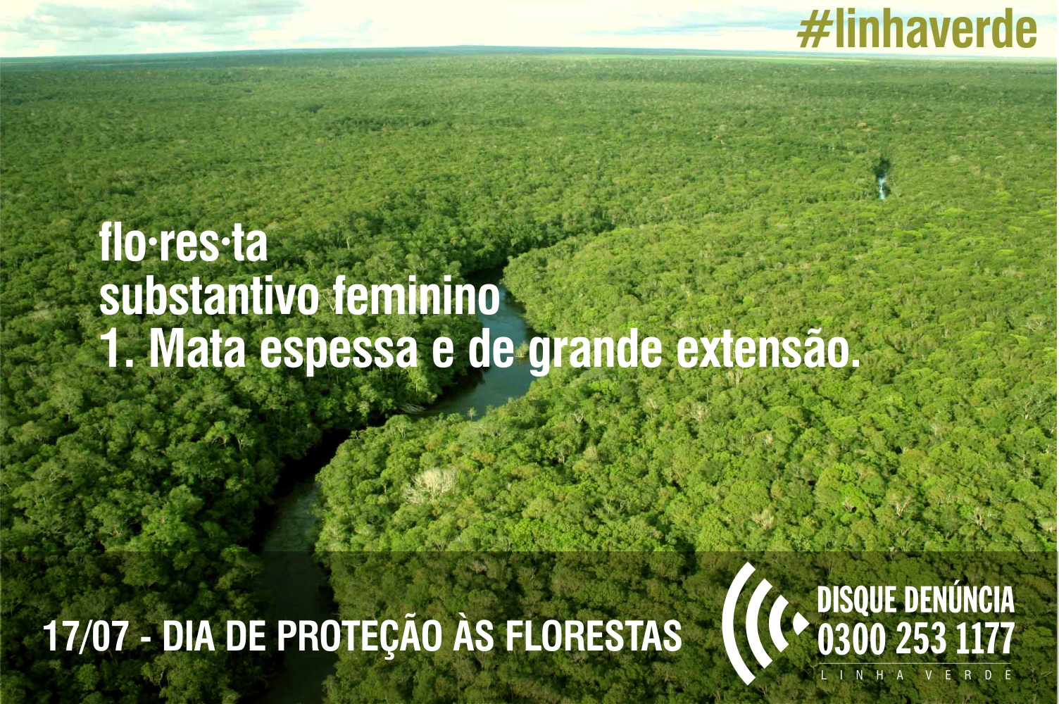 Você sabia que neste 17.07 é comemorado do Dia de Proteção às Florestas?