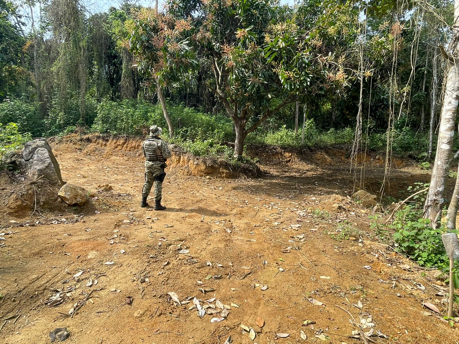 Diversos crimes ambientais são identificados em uma área com 1500 metros quadrados em Angra dos Reis a partir de informações do Linha Verde