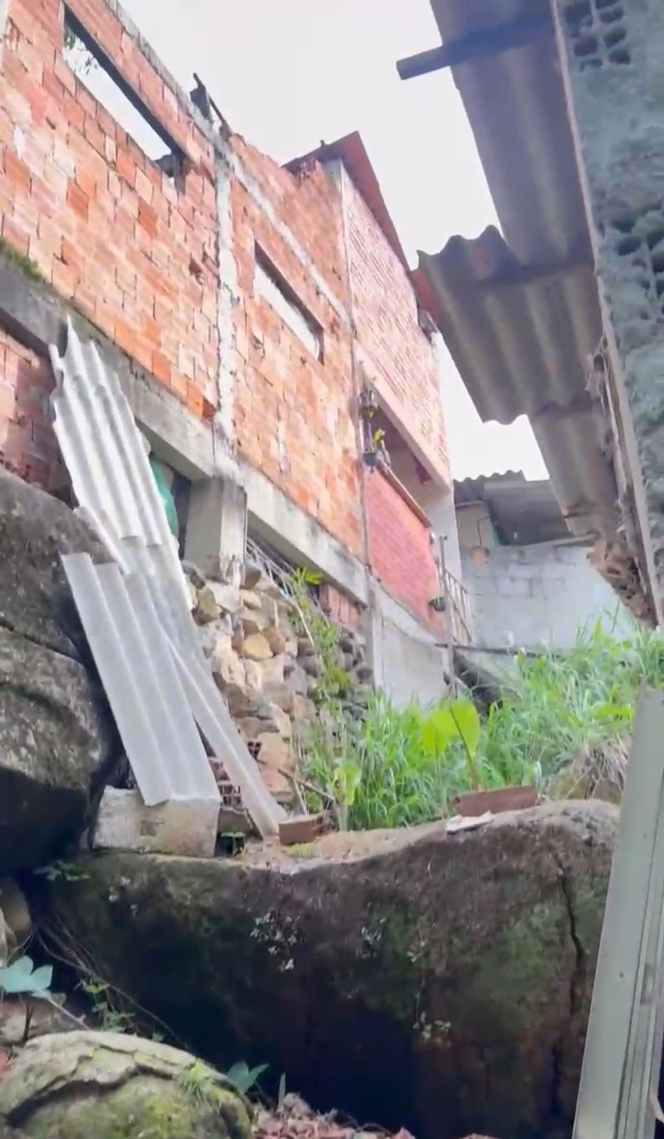 Polícia Ambiental identifica supressão de vegetação e corte ilegal de árvores na Ilha Grande, após denúncia feita ao Linha Verde 