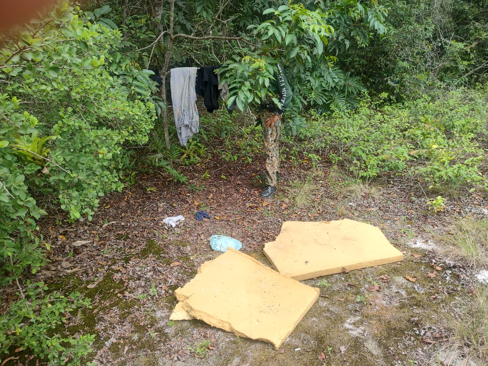 Polícia Ambiental encontra camping selvagem na Praia de Lopes Mendes, após uma informação recebida pelo Linha Verde, do Disque Denúncia 