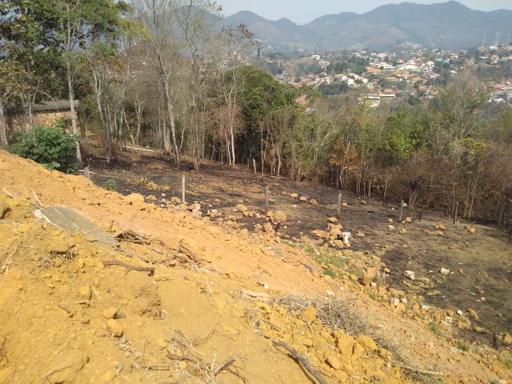 Área com 3 mil metros quadrados degradada em Miguel Pereira é localizada após denúncia de desmatamento e loteamento irregular feita ao Linha Verde