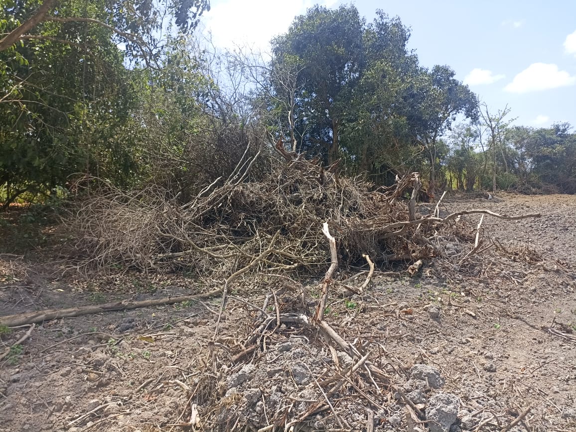 UPAm Desengano constata crimes ambientais em São João da Barra após denúncias feitas ao programa Linha Verde 