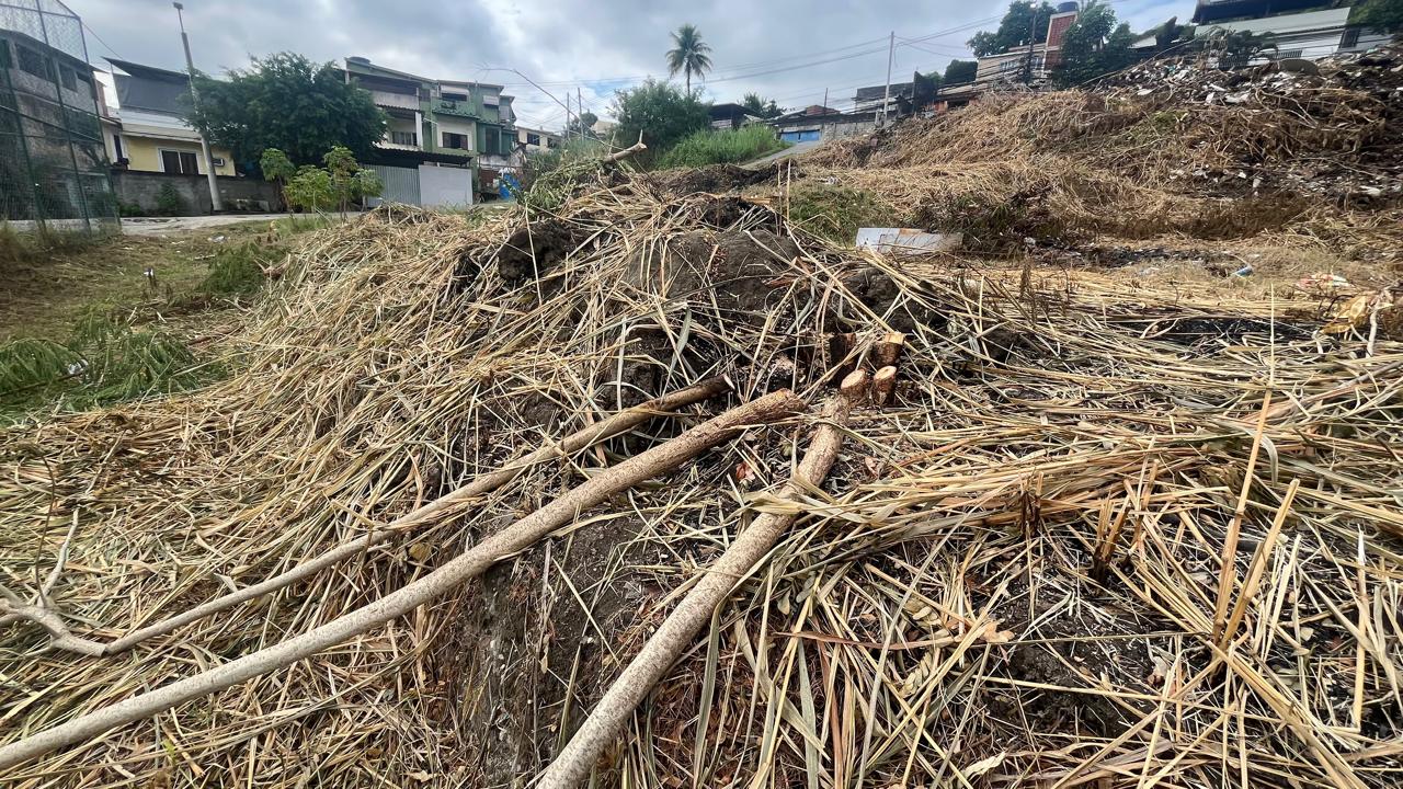 Polícia identifica árvores queimadas e cortadas na Taquara 