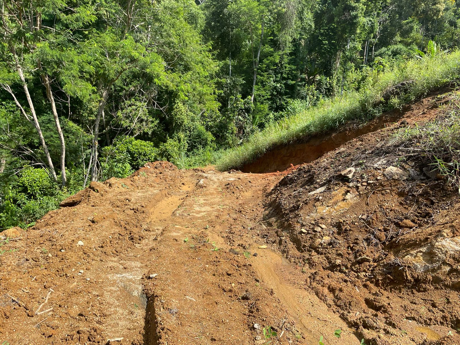 Policiais militares encontram corte de talude e abertura de estrada em área de preservação de Paraty após denúncia