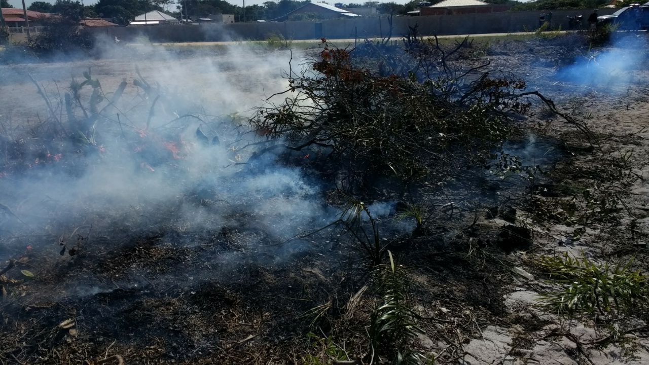 Crimes de desmatamento e queimada dentro de Área de Preservação Permanente são coibidos na Região dos Lagos após denúncia