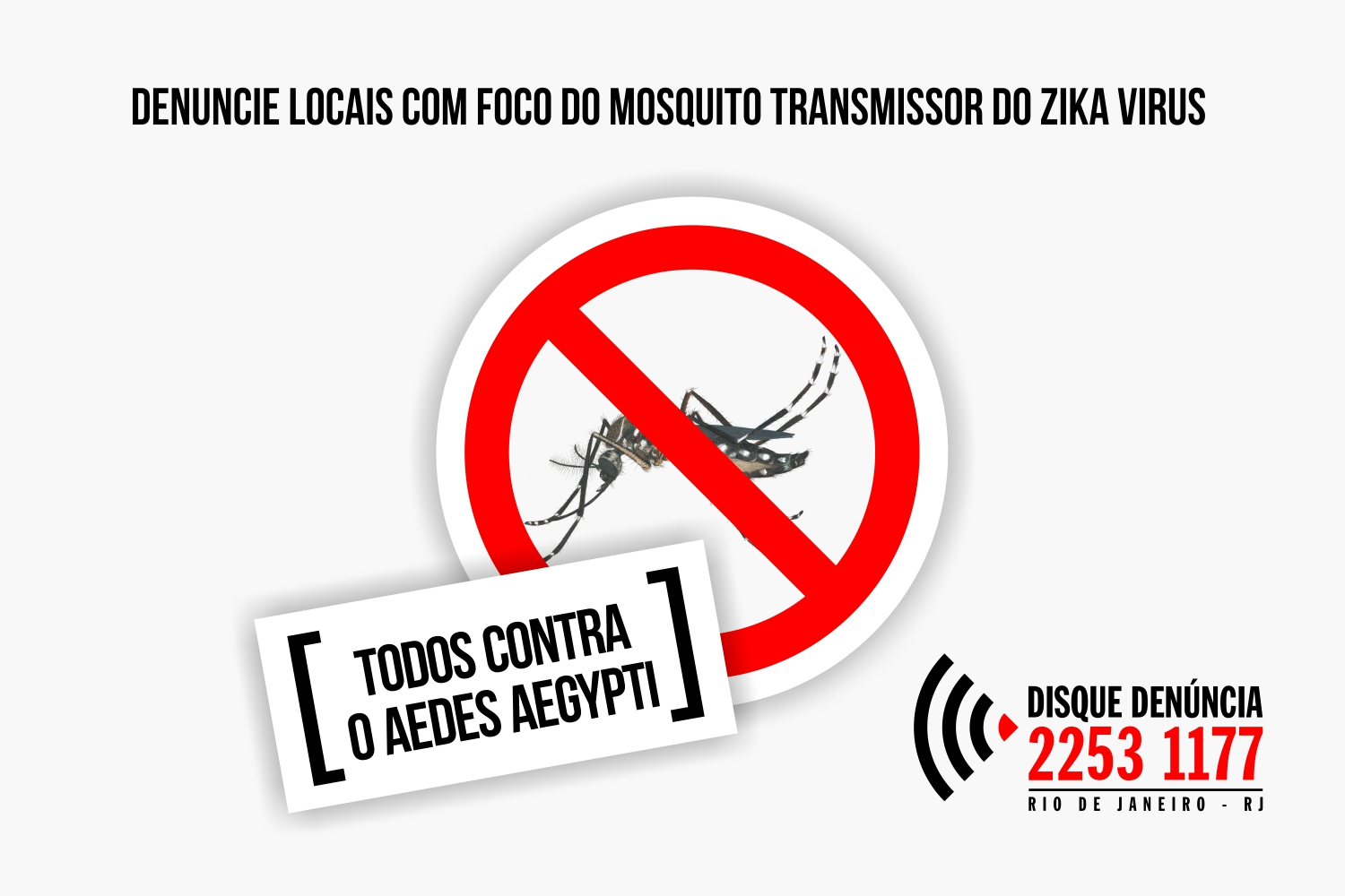 Disque-Denúncia registra 55% de aumento de denúncias envolvendo focos do Aedes aegypti