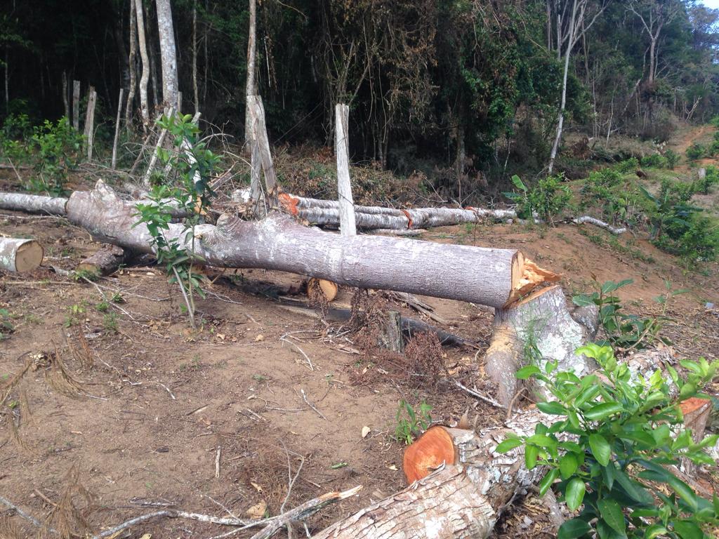 Denúncia do Linha Verde leva polícia militar ambiental a constatar diversos crimes em Teresópolis
