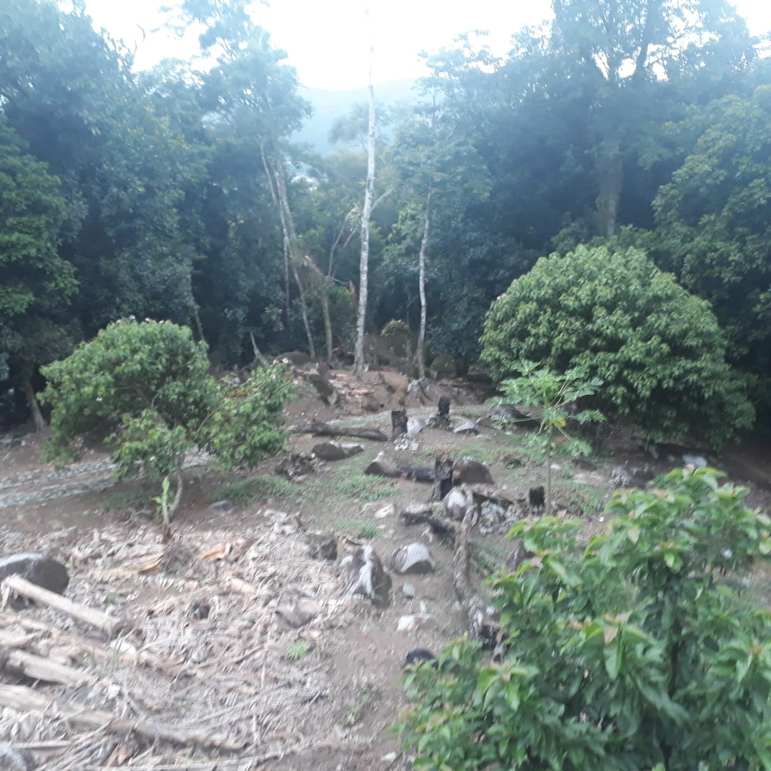 Polícia encontra 10 mil metros quadrados desmatado no interior de uma Reserva Particular do Patrimônio Natural em Rio Bonito