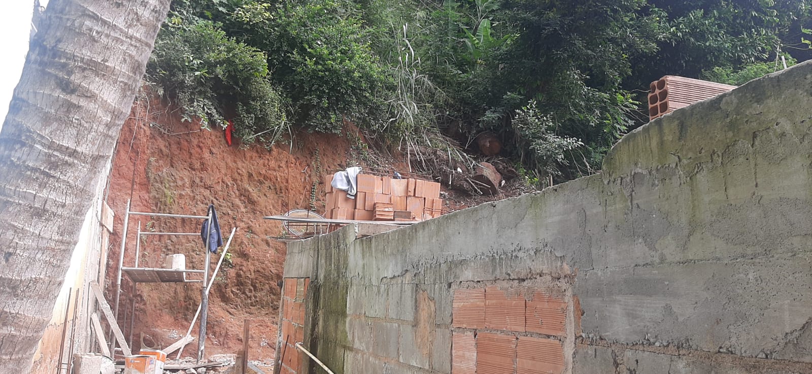 Construções irregulares são identificadas no Morro da Formiga após denúncia feita ao Linha Verde