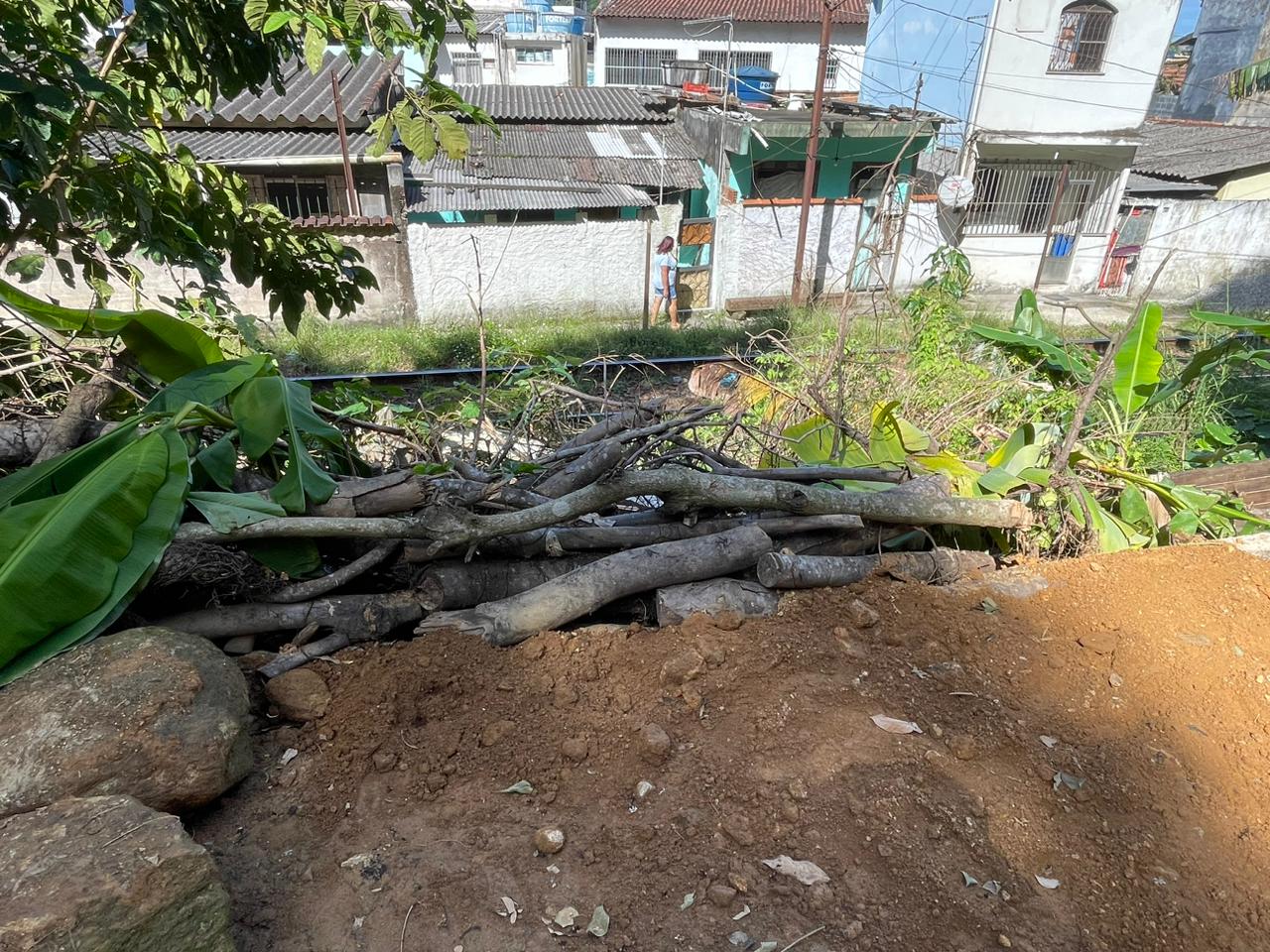 Polícia identifica corte de árvores e movimentação do solo em Mangaratiba