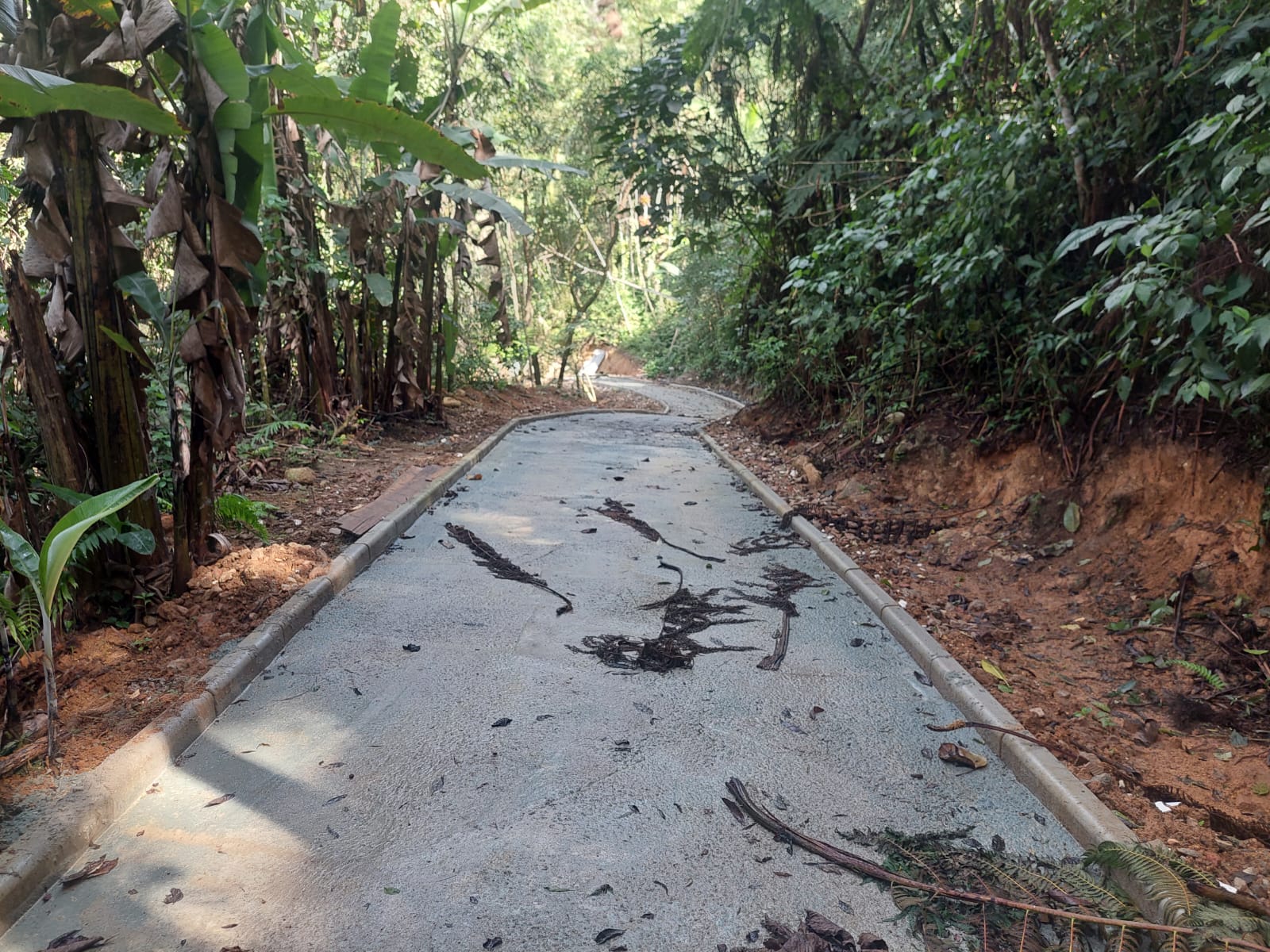 Abertura de estrada, extração irregular mineral e supressão de vegetação são flagrados em Paraty após denúncia ao Linha Verde