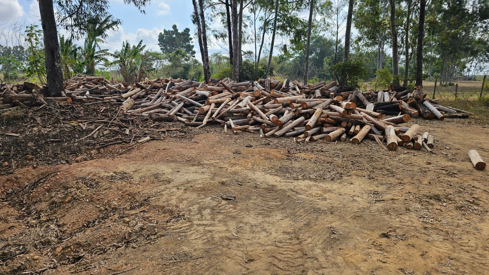 Fábrica que operava em desacordo com a legislação é identificada em Campos após denúncia 