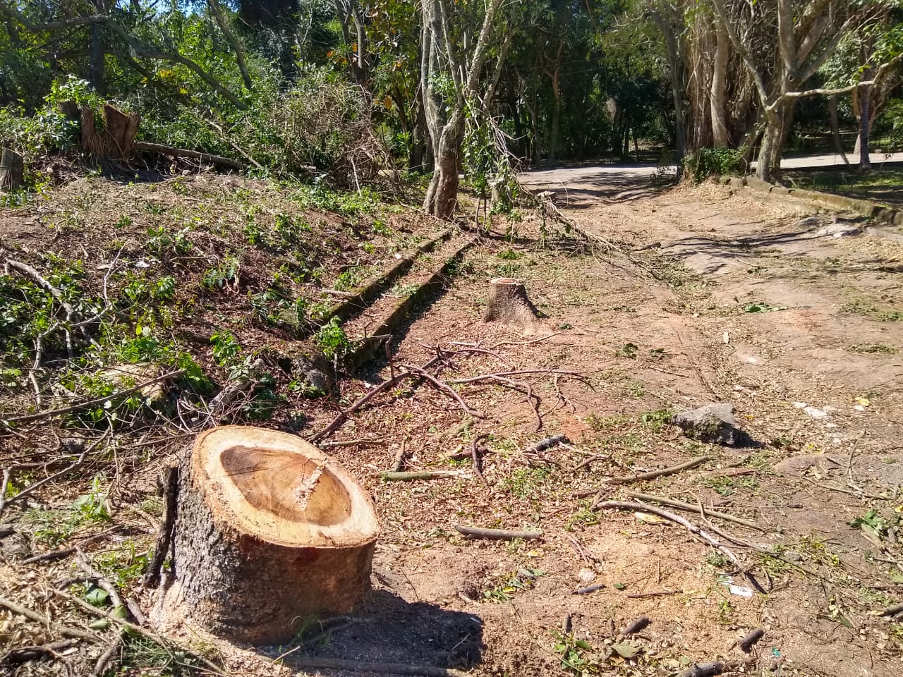 Polícia comprova desmatamento e extração mineral em condomínio de Campo Grande
