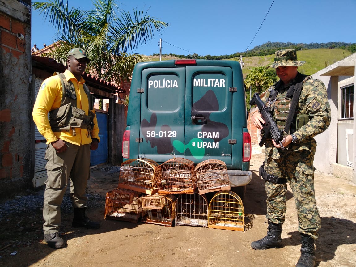 Policiais ambientais resgatam pássaros silvestres de cativeiro em Mangaratiba