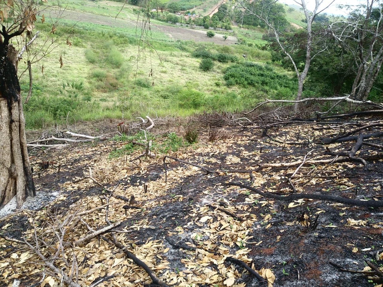 Denúncia do Linha Verde leva ambiental a identificar abertura de estrada clandestina e desmatamento em Itaocara