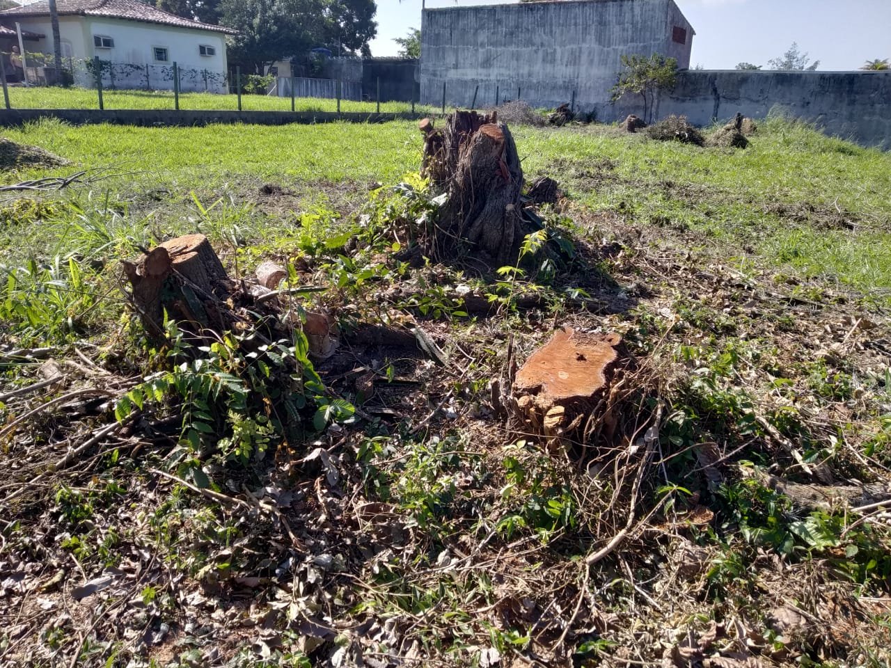 Polícia Ambiental identifica desmatamento em condomínio de Araruama