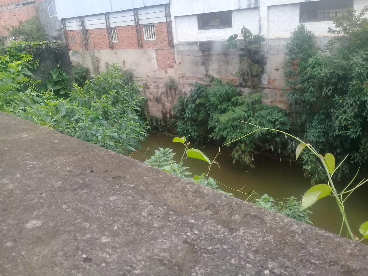 Denúncia do Linha Verde feita pelo aplicativo leva polícia a identificar construção irregular a 10 metros da margem de rio em Teresópolis