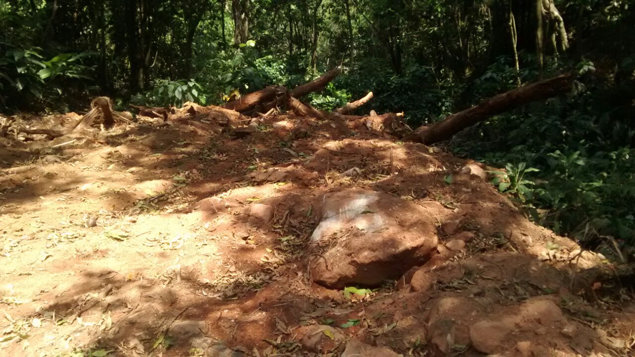 Ilícitos ambientais na área de amortecimento do Parque da Serra dos Órgãos são encontrados após denúncia