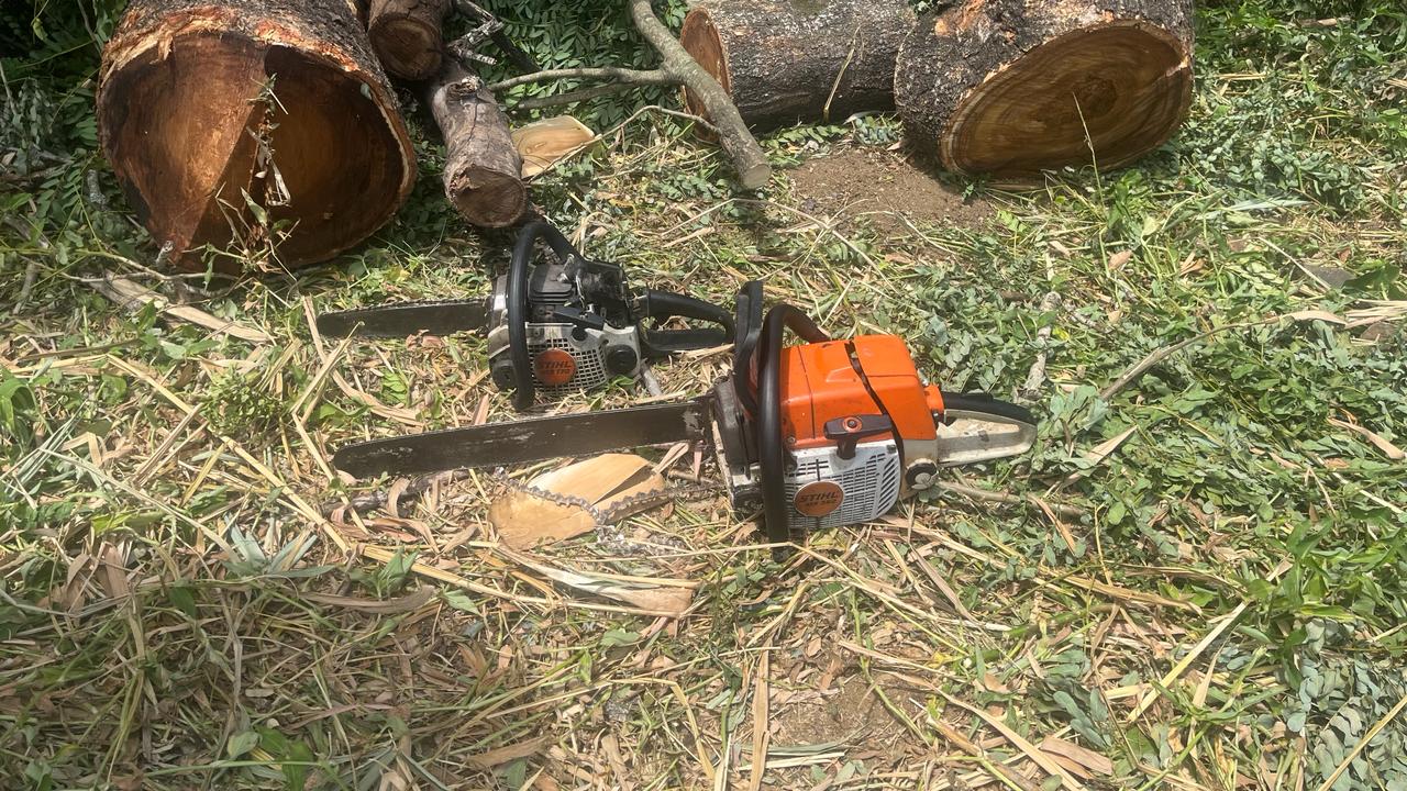 Motosserras são apreendidas após flagrante de corte de árvores em Campo Grande 