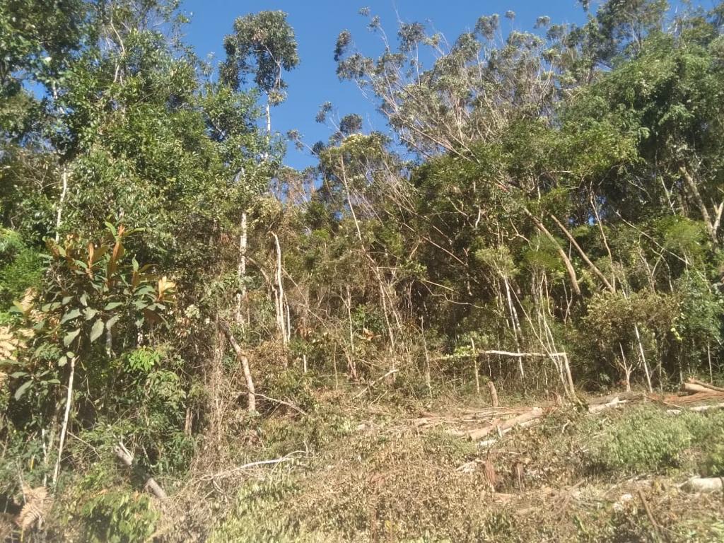 Denúncia ajuda polícia a localizar área desmatada em Teresópolis